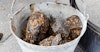 The Means of the Stone Age: Hot Rocks in Ancient Brewing Image