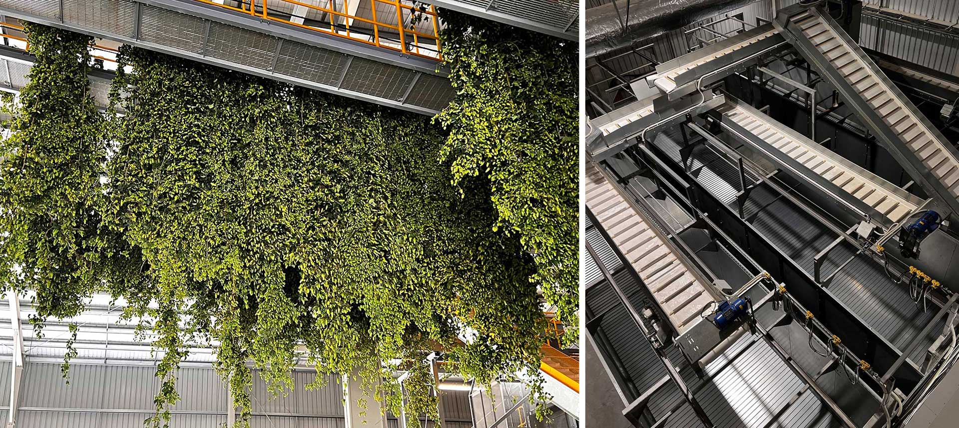 HopRev-Web-Mar22-inline1-2