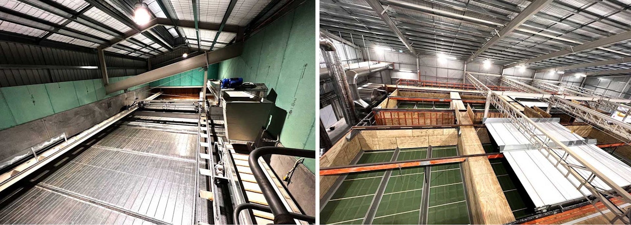 In New Zealand, Hop Revolution’s Processing Is Built for Highest ...