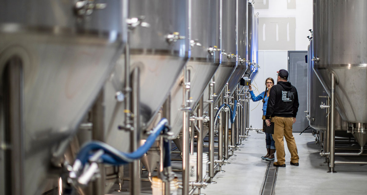 new-anthem-beer-project-3