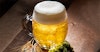Style School: Examining the Czech Pale Lager Tradition Image