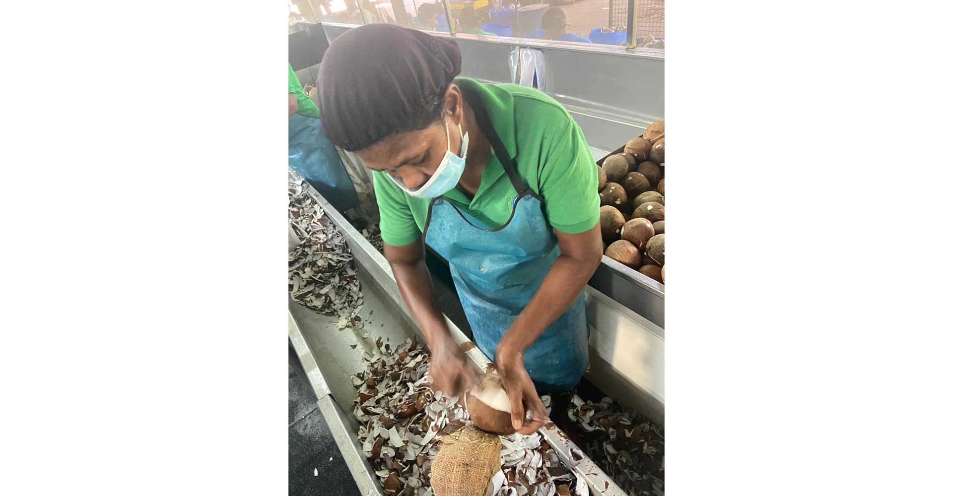 2-Worker-in-Sri-Lanka