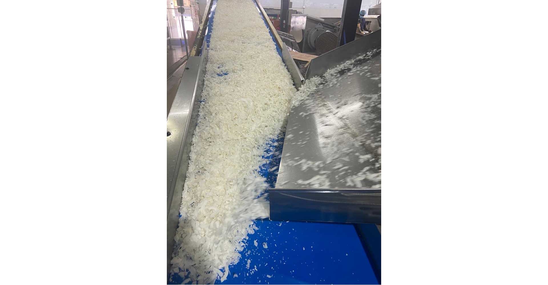 3-Desiccated-Coconut-Passes-Through-Sieves