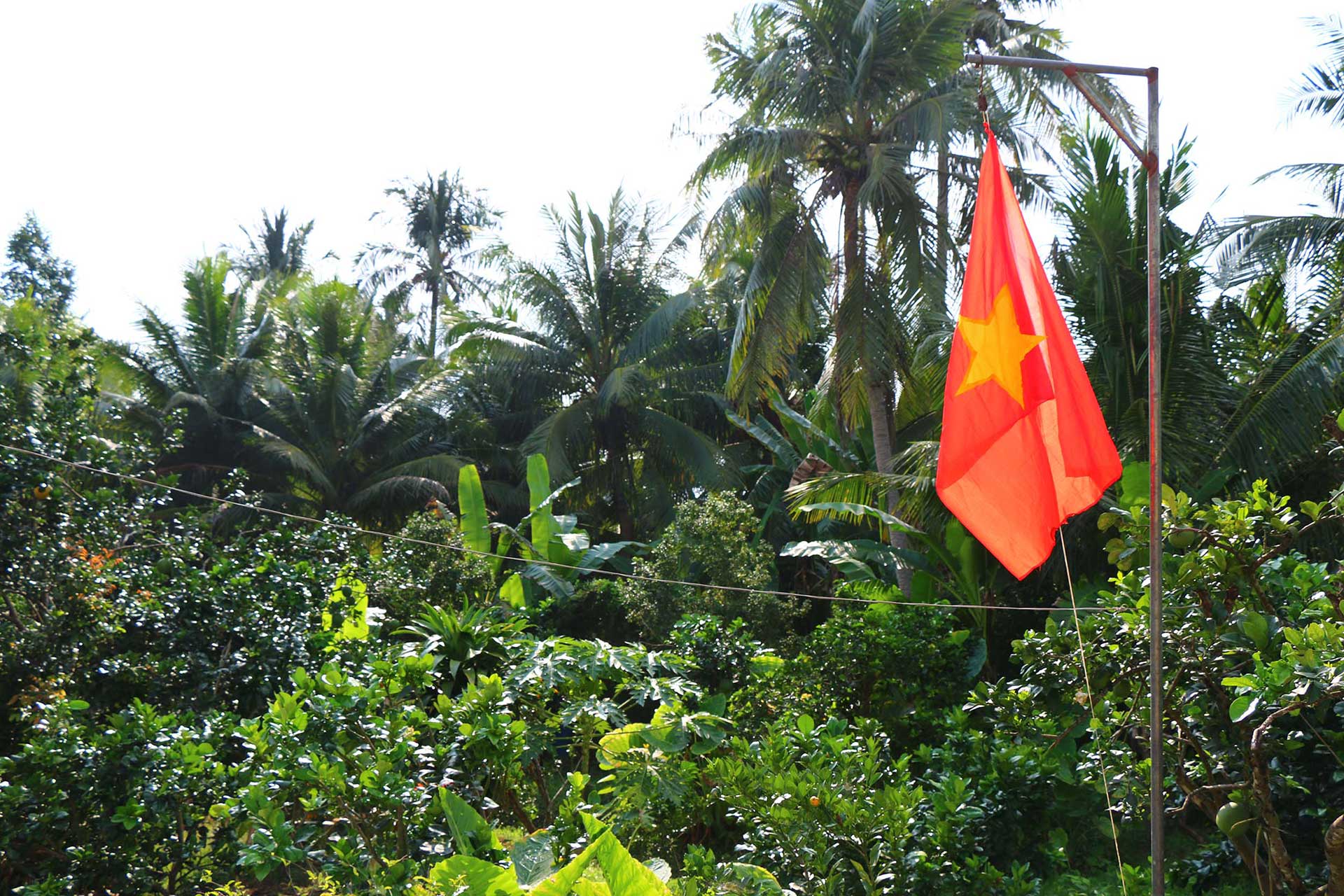 10-Near-Vietnam-Farm1