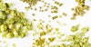 Firestone Walker’s Matt Brynildson Blends Hops for Higher Impact Image