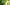 El Dorado®: The Story of How This Tropical Hop Made it in Your Beers Primary Image