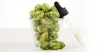 Terpenes: Brewing with the Essence of Hops Image