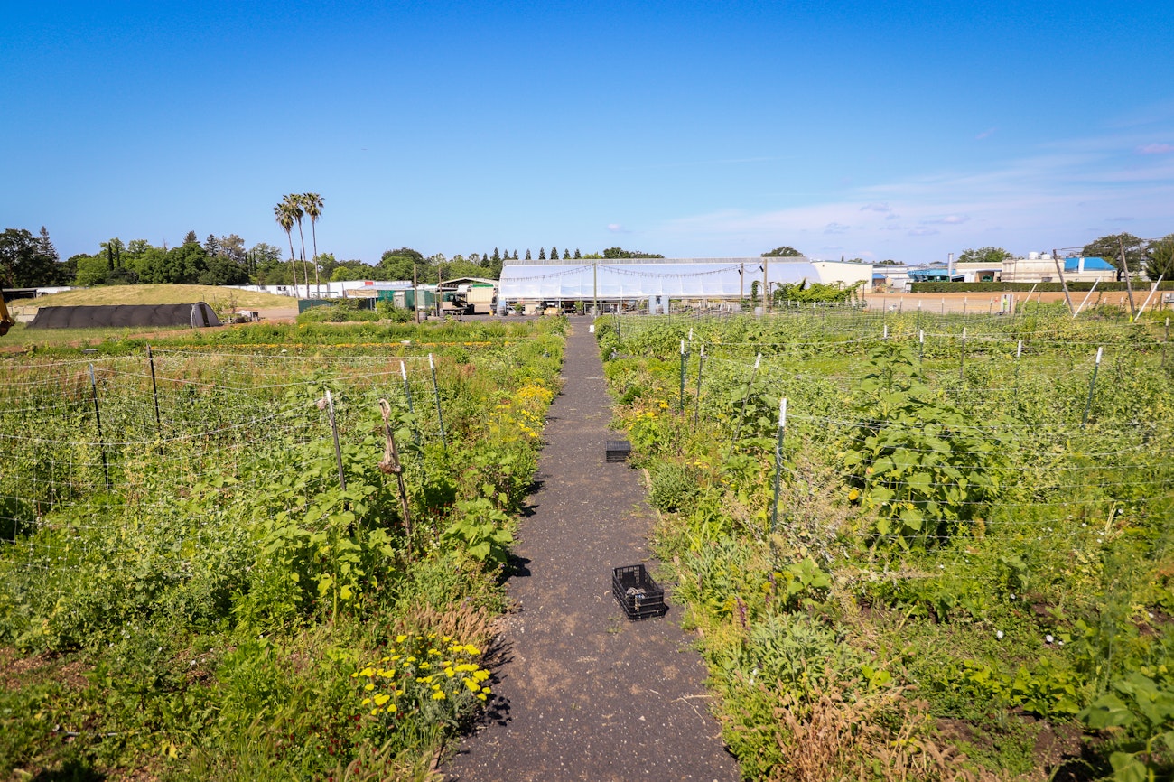 garden-photos may-2019 edit-2048w-11