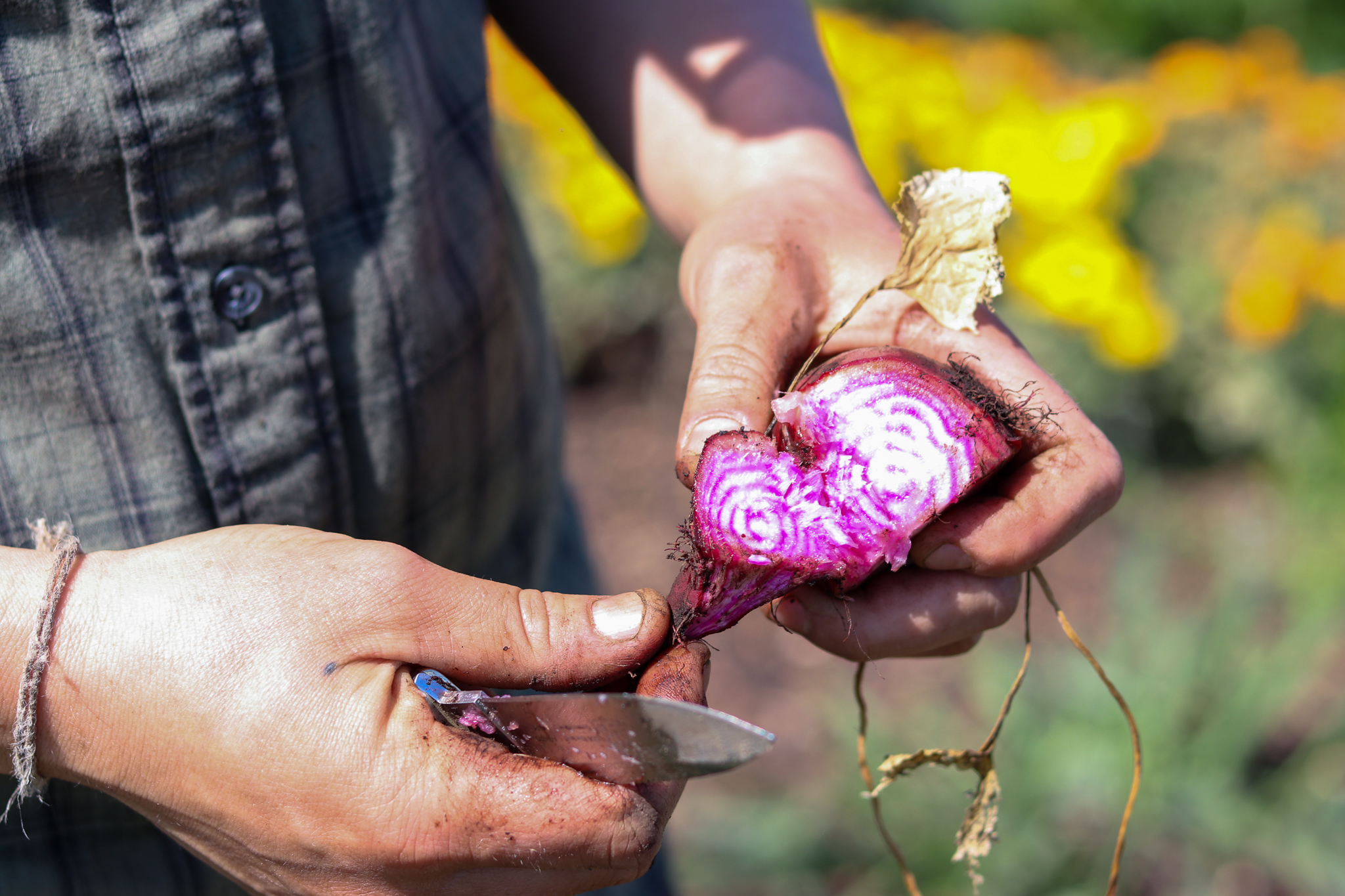 garden-photos may-2019 edit-2048w-6