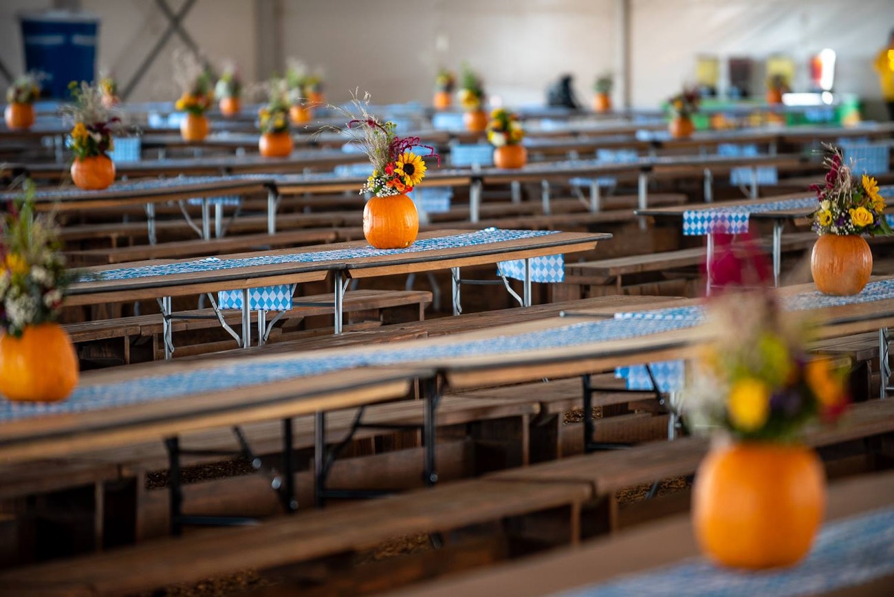 oktoberfest-pumpkins low-res