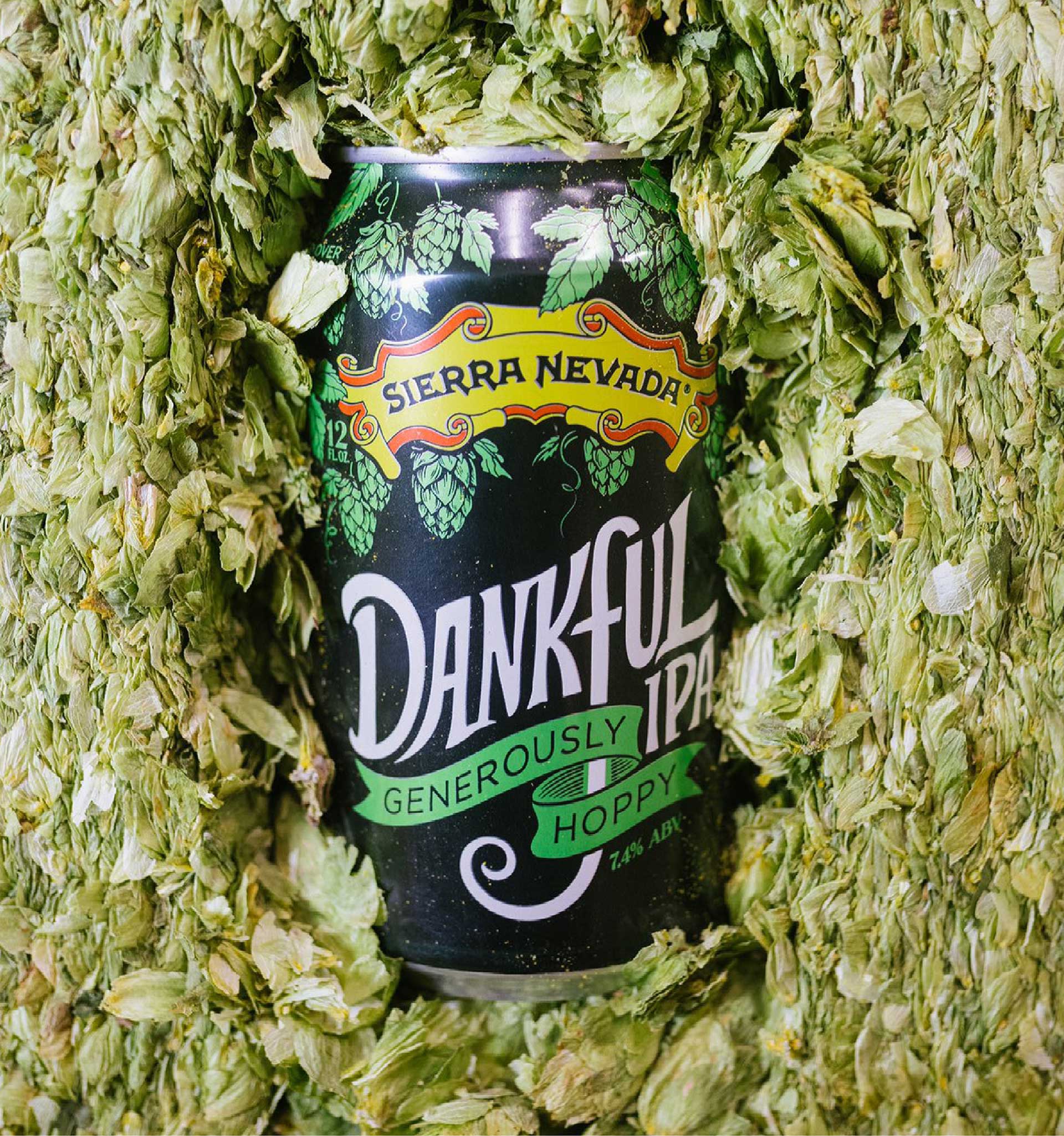 Dankful CustomContent-02