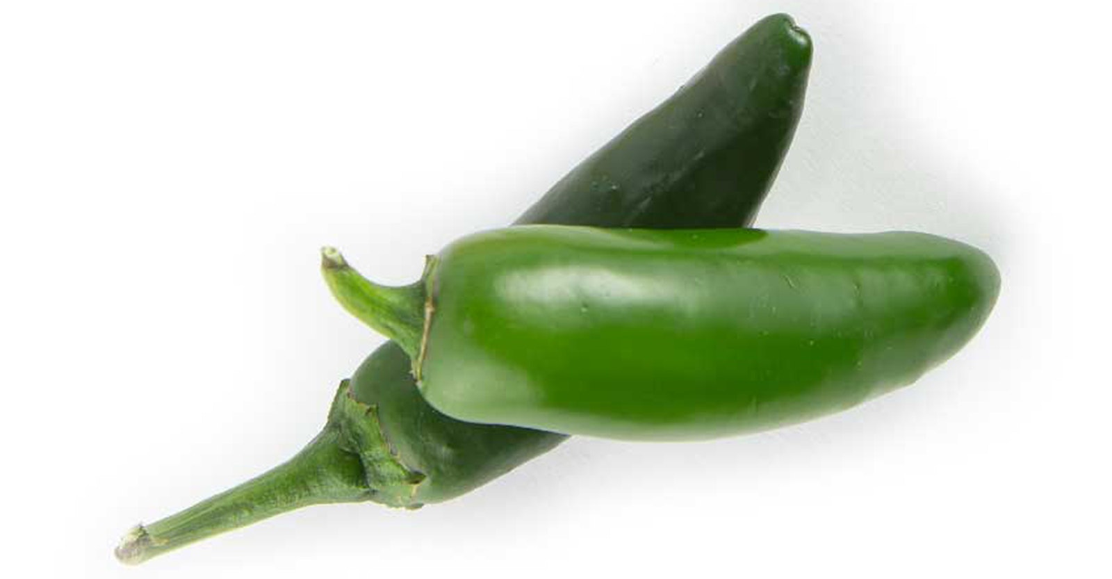 Water Yeast Malt And Hot Chile Beer 101 Craft Beer Brewing