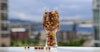 Cereal: Not Just for Mornings Image