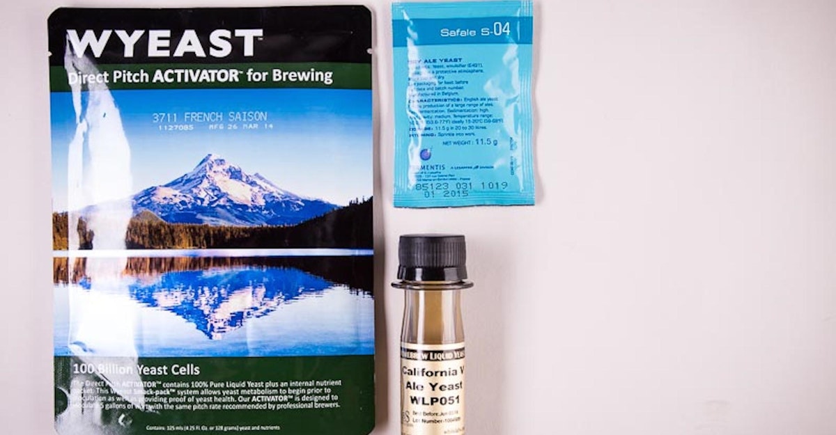 What, Exactly, IS Yeast Nutrient? Craft Beer & Brewing