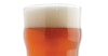 Bonn Place Brewing Mr. Harry’s Pig Tale Extra Pale Recipe Image
