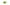 Ask the Expert: The Aromas of Tropical Hops Primary Image