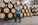 Full Video: Brewing Mixed Culture Brett Beer with Wiley Roots Image