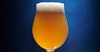 450 North Brewing Co. Fruity Nuggets IPA Recipe Image
