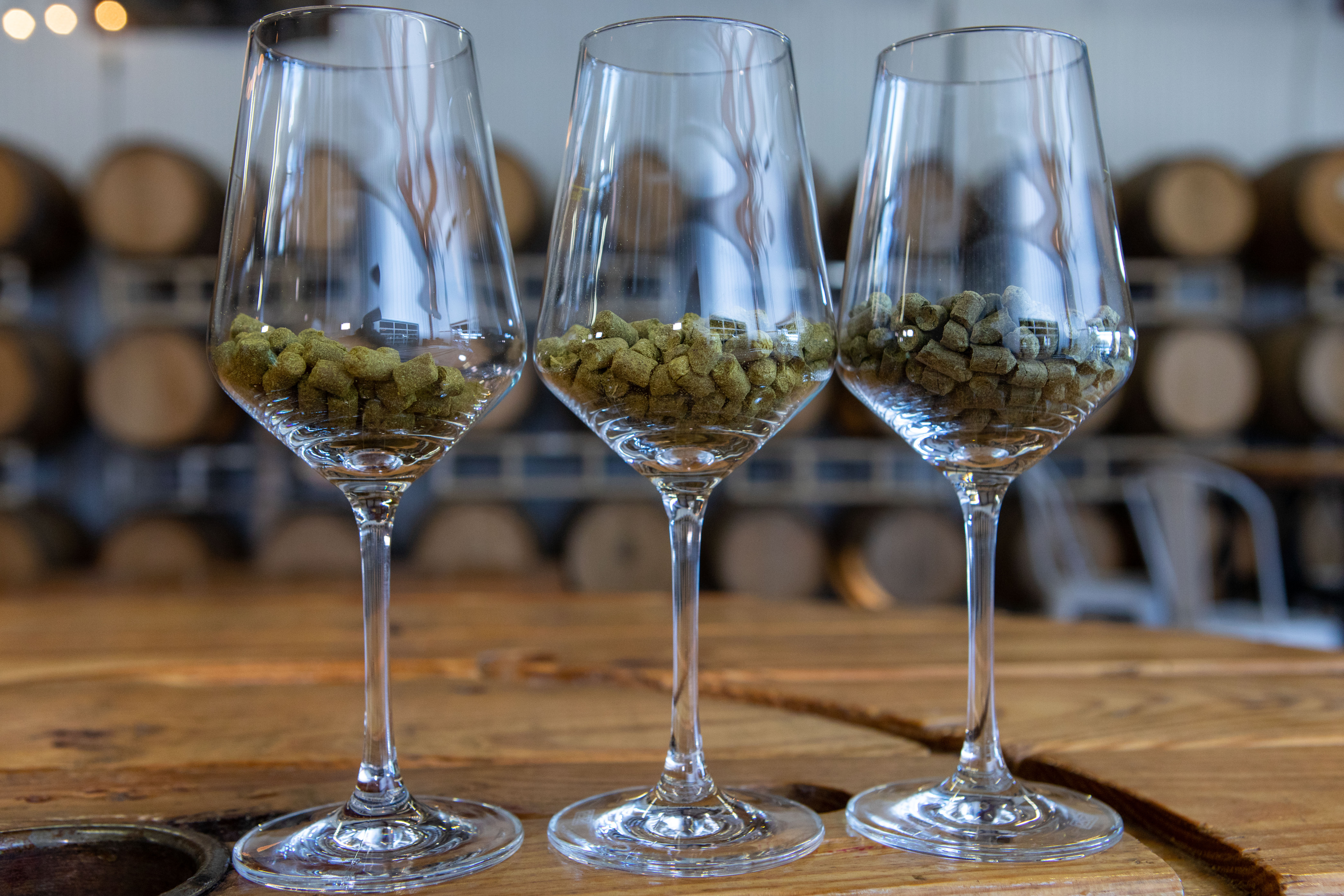 Advanced Hopping Methods with Resident Culture Brewing (Full Video) Image