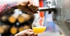 How to Find the Best Craft Beer and Breweries Near You Image