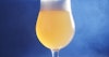 Finding the  Right Yeast to Create Hazy IPAs Image