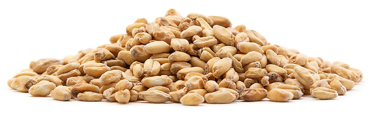 White-Wheat