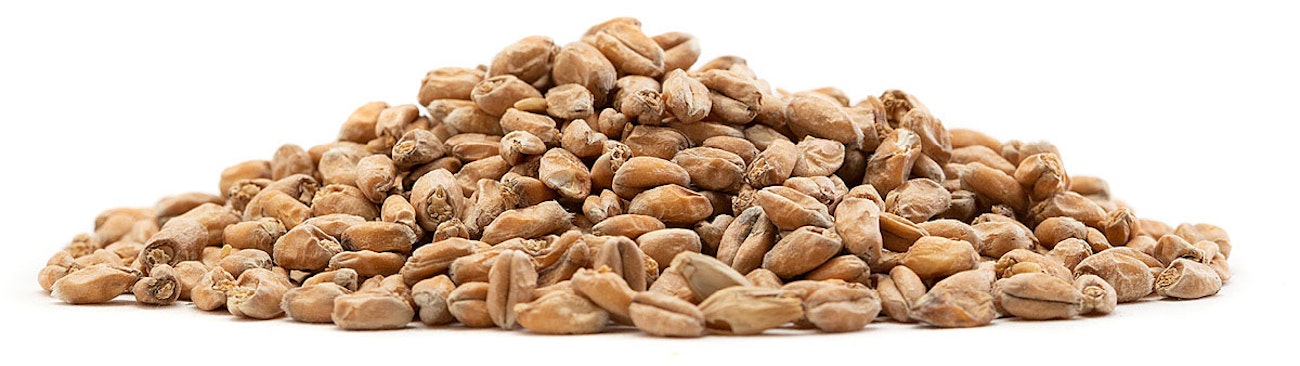 German-Pale-Wheat
