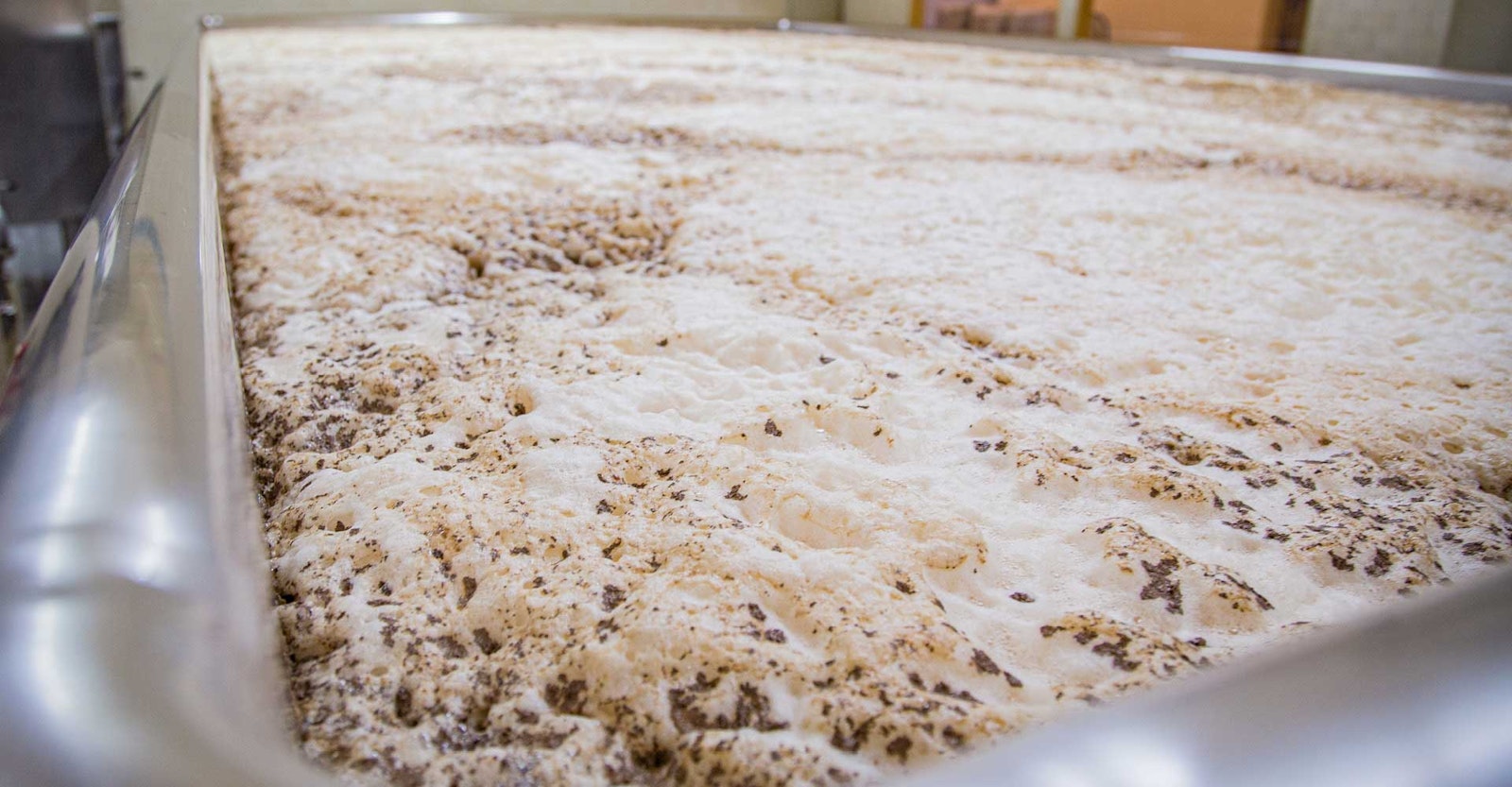 Brewer's Perspective: Open Fermentation For Pale Ale? | Beer & Brewing