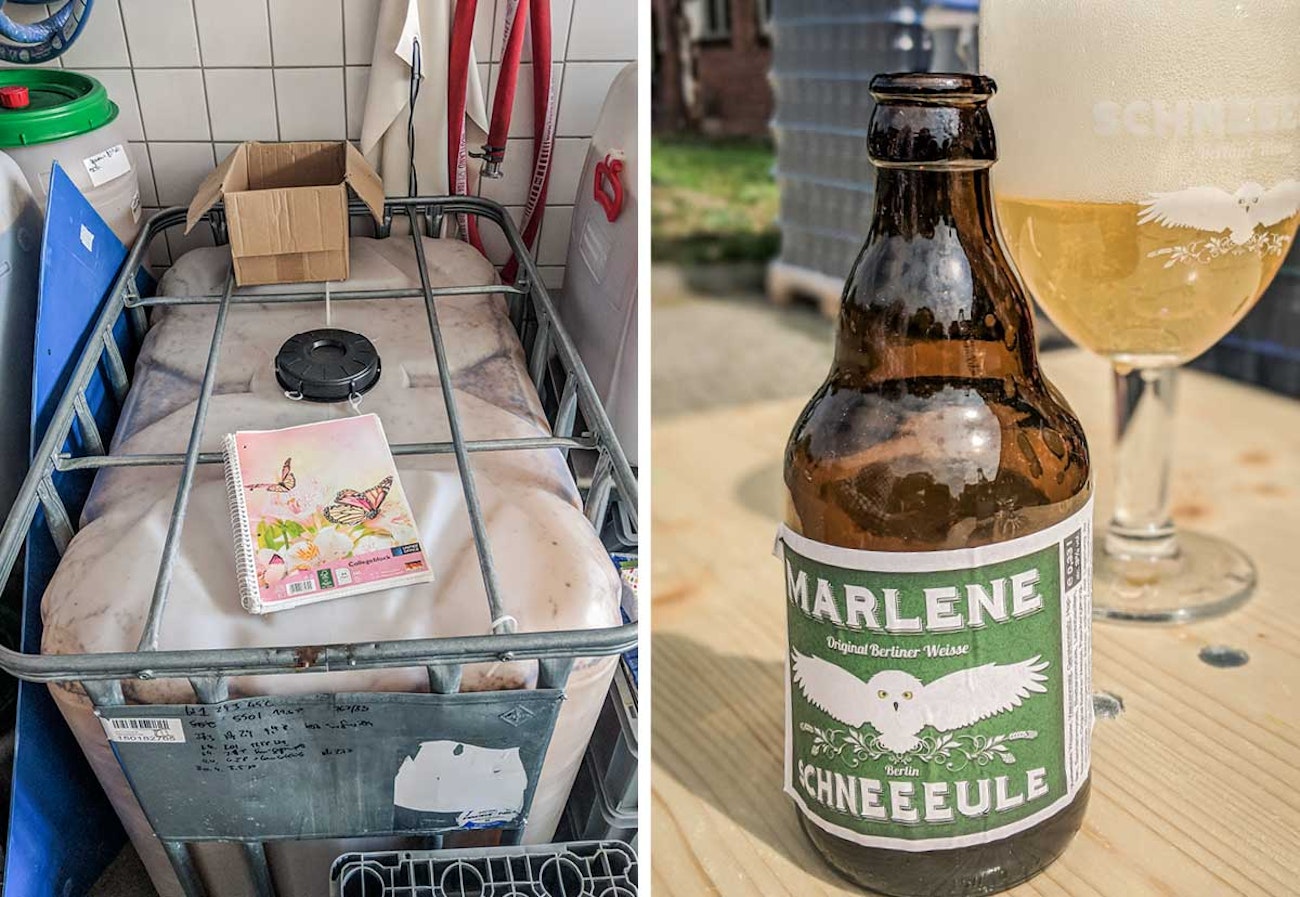Schneeeule Marlene