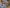 Breakout Brewer: Root Down Primary Image