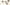 Learning Lab: A Richer  Palette with  Specialty Grains Primary Image