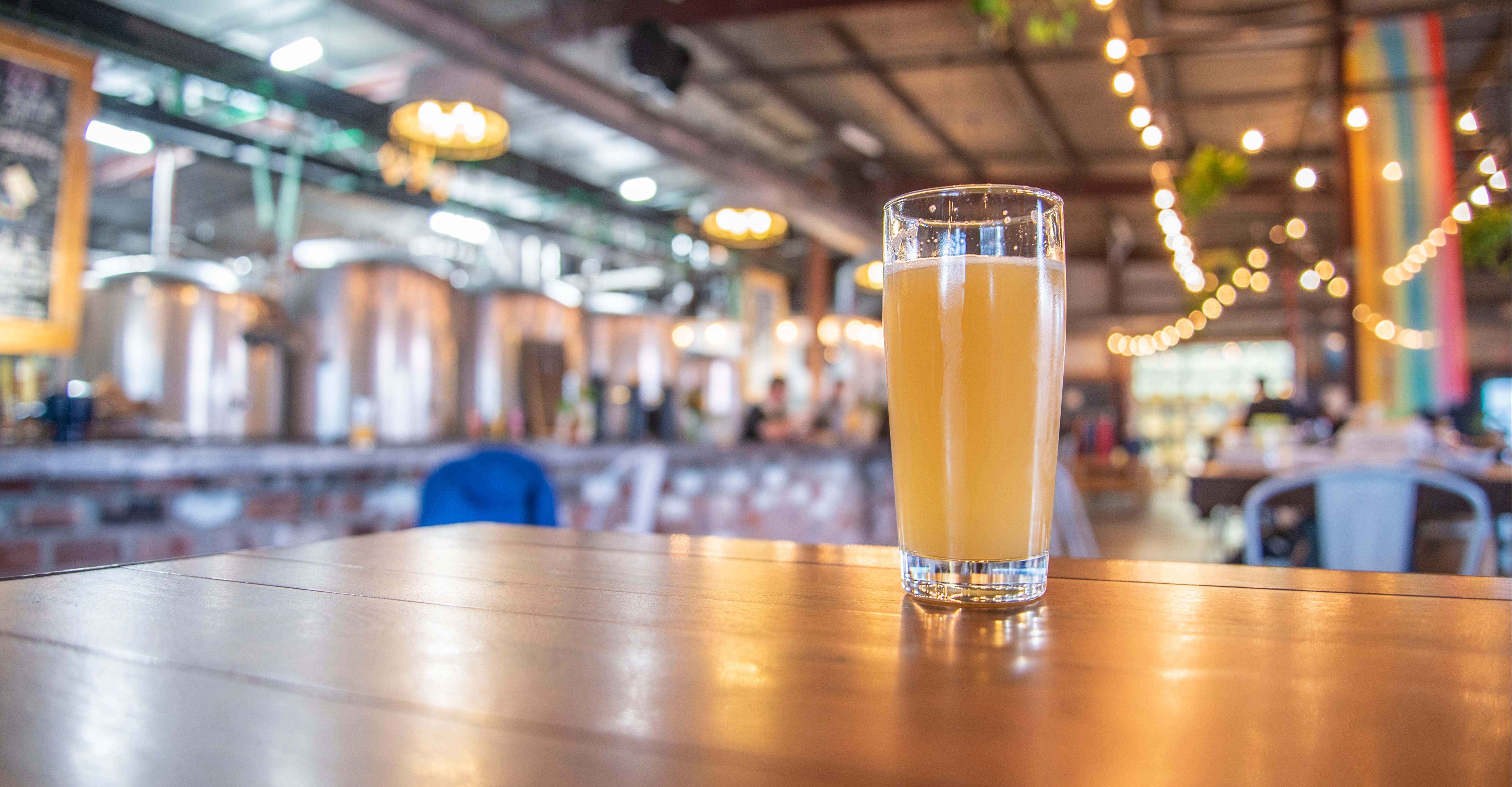 Resident Culture by Jamie Bogner-1434