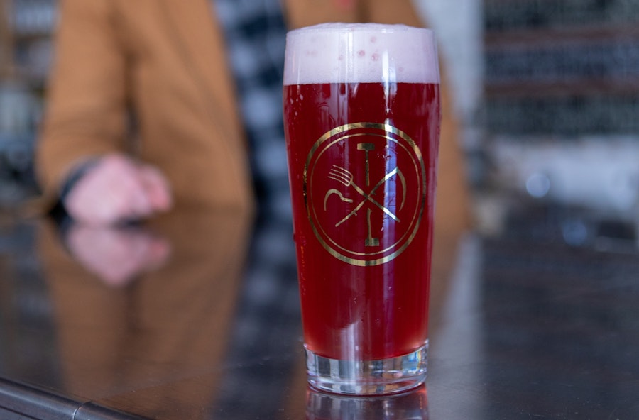 Running Trials on Adjuncts and Herbs for Homebrew (Video Tip) Image