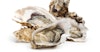 Special Ingredient: Brewing with Oysters + Oatmeal Oyster Stout Recipe Image