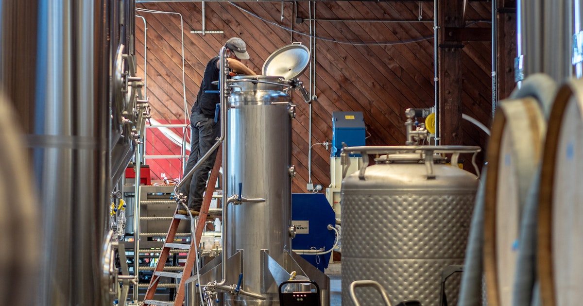 Ready, Aim, Hop. Examining the Hop Gun in Breweries | Craft Beer & Brewing