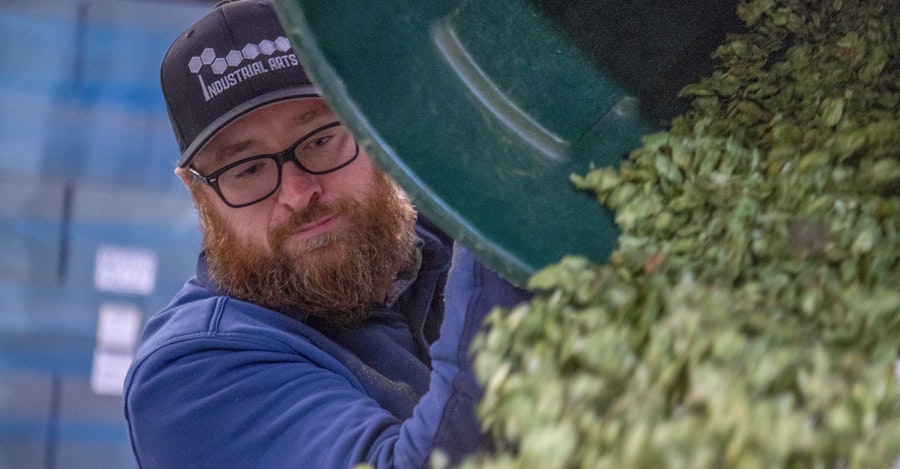 Picking the Right Yeast and then Dry Hopping Your New England-Style IPA (Video Tip) Image