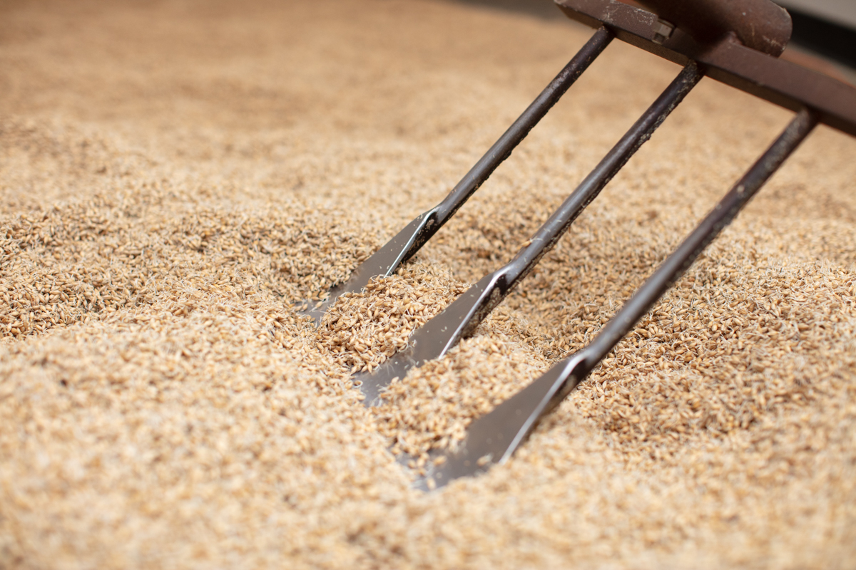 Video Tip: Avoiding Over-Modified Malt | Craft Beer & Brewing