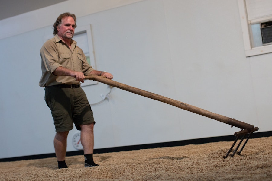 Successful Germination for Craft Malt (Video Tip) Image