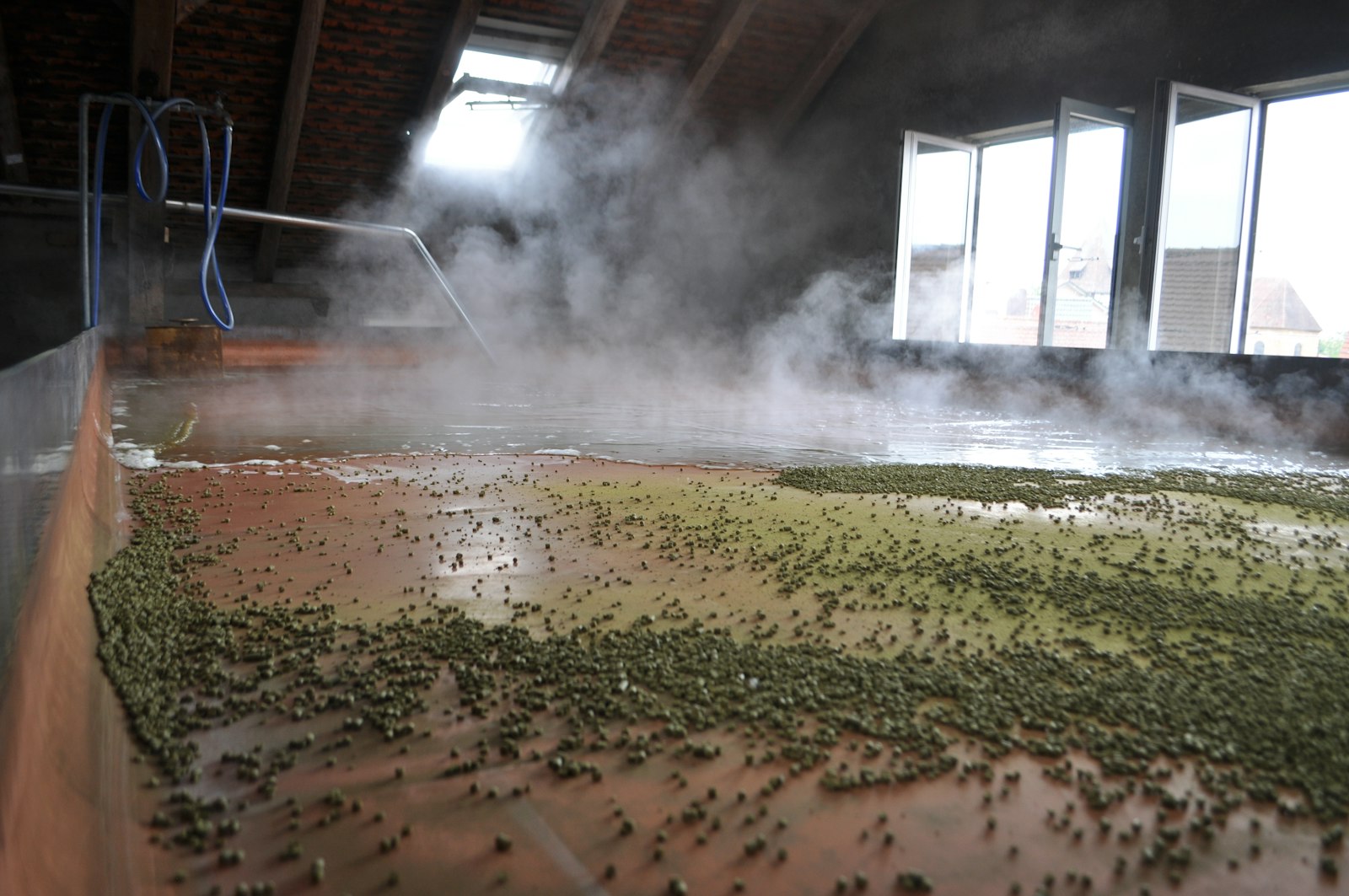 Exploring the Most Brewery Rich Region in the World Primary Image