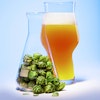 The Complex  Case of Thiols Image