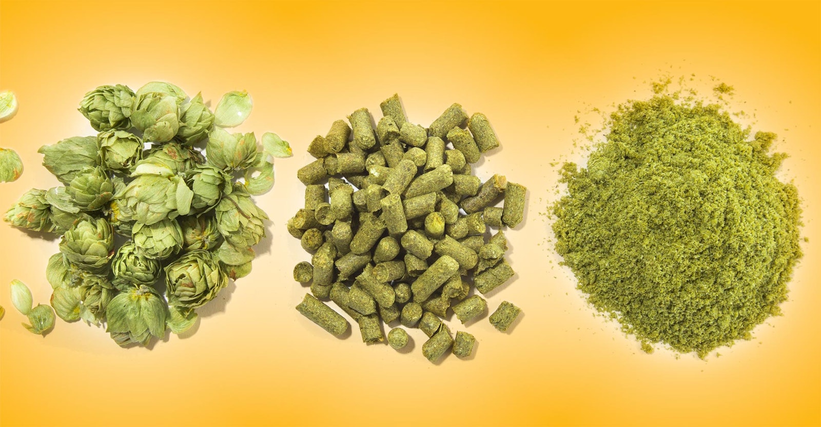 To Dial in Your Bitterness, Zoom in on the Science Primary Image