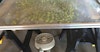 Hops: Homegrown For Homebrew Image