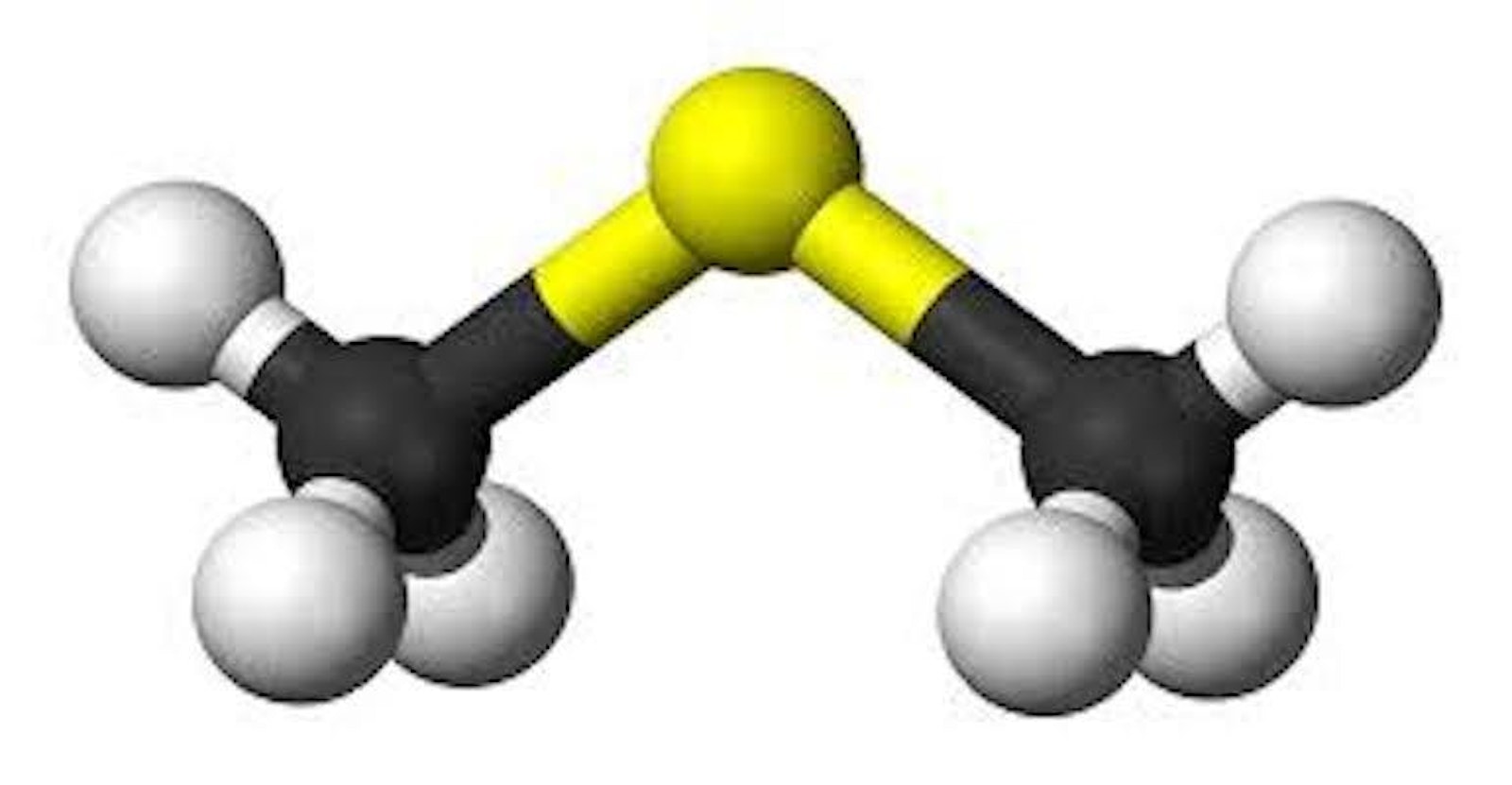 Does your Beer Taste Like Corn? Craft Beer & Brewing