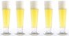 Craft Brewers’ Roundtable: Pilsner In Perspective Image