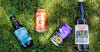 8 Beers That are Absolutely Perfect to Take Camping Image