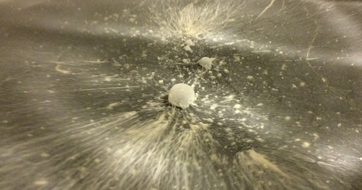 Pellicle 8z Clearance