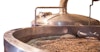 Why Decoction Matters Image
