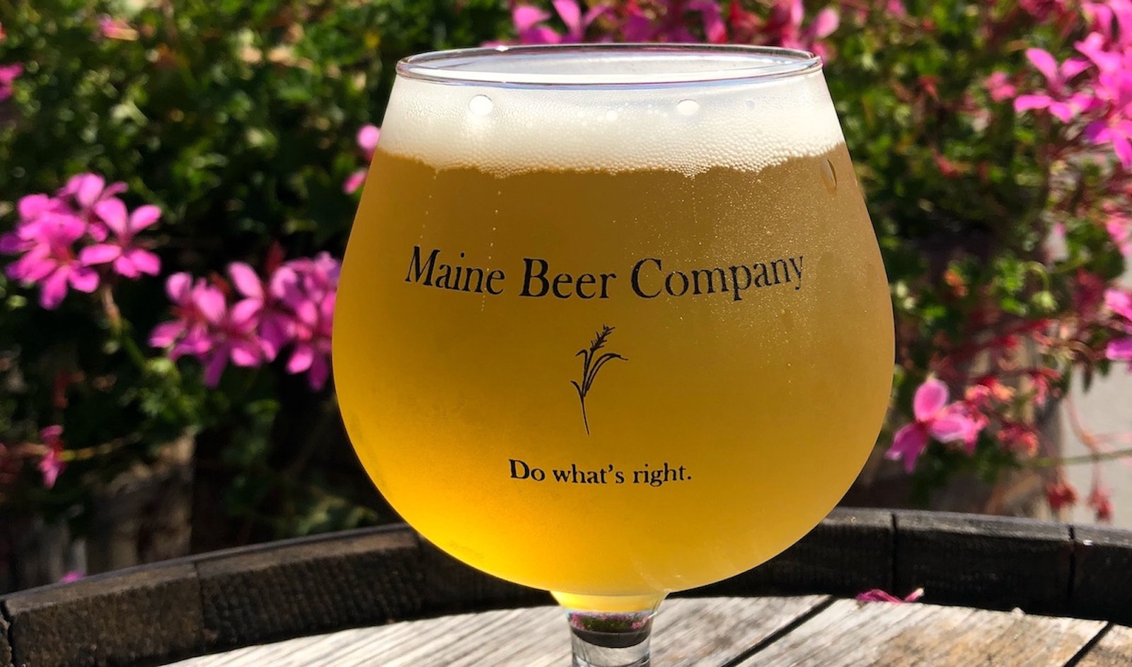 Recipe Maine Peeper Pale Ale Craft Beer & Brewing