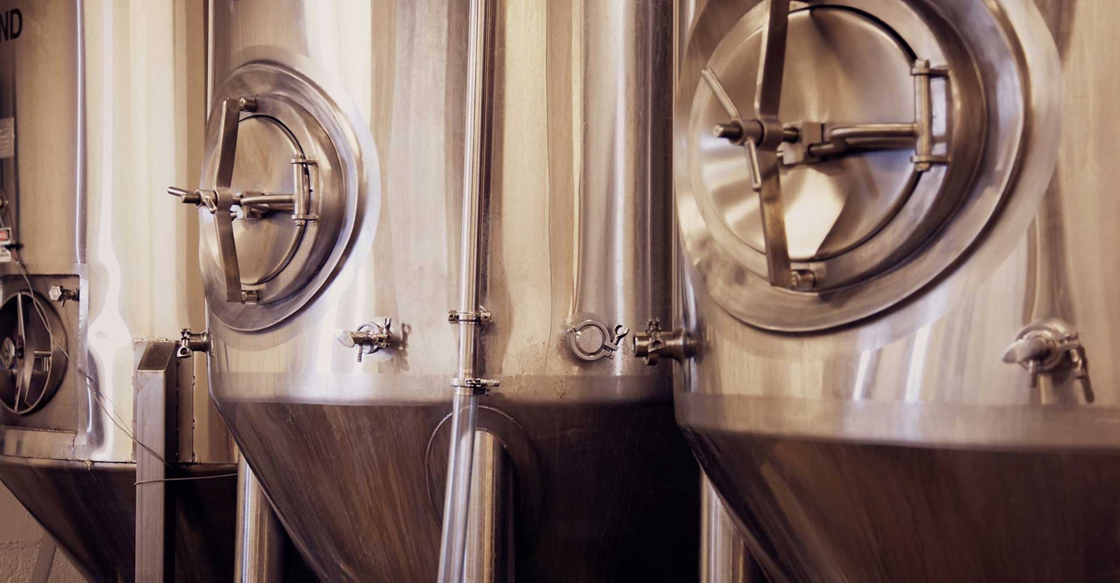 Yeast Harvesting Best (& Worst) Practices, and How to Know When It’s