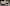 Crambambull: Don’t Knock the Nog Primary Image